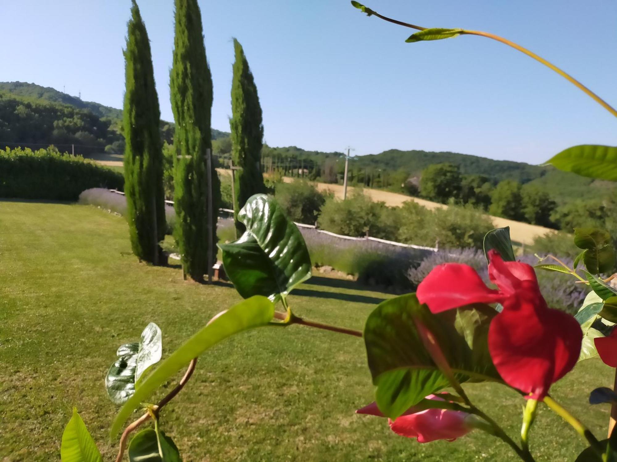 Suite Assisi Exterior photo